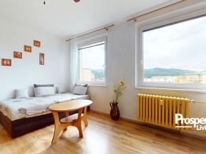 Prodej bytu 2+kk, Ústí nad Labem - Krásné Březno, Žežická, 48 m2
