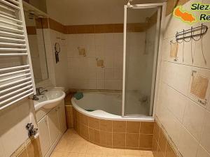 Pronájem bytu 3+1, Ostrava, 17. listopadu, 105 m2