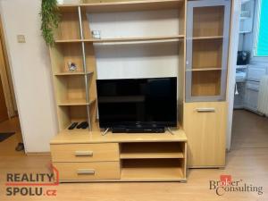 Pronájem bytu 1+kk, Praha - Braník, Novodvorská, 27 m2