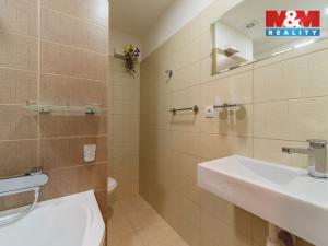 Prodej bytu 1+1, Hazlov, 37 m2