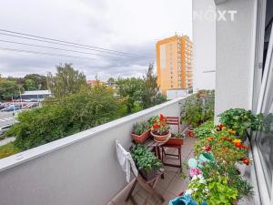 Prodej bytu 3+kk, Kladno, Americká, 60 m2