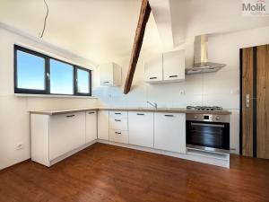 Pronájem bytu 3+kk, Osek, Tovární, 66 m2