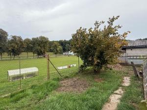Prodej rodinného domu, Hořiněves, 270 m2