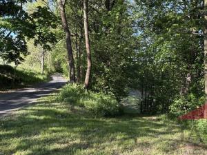Prodej louky, Sušice, 4200 m2