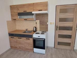 Pronájem bytu 1+kk, Rožnov pod Radhoštěm, Lesní, 21 m2