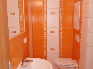 Pronájem bytu 1+kk, Plzeň, Rabštejnská, 32 m2