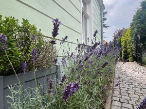 Pronájem bytu 2+1, Dubí, Ruská, 69 m2