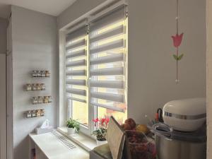 Prodej bytu 4+1, České Budějovice - České Budějovice 2, M. Chlajna, 67 m2