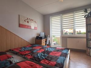 Prodej bytu 4+1, České Budějovice - České Budějovice 2, M. Chlajna, 67 m2