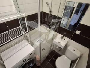 Pronájem bytu 1+1, Plzeň, Sukova, 36 m2