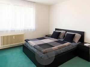 Prodej bytu 2+1, Brno, Krásného, 53 m2
