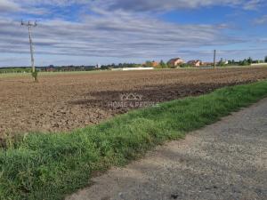 Prodej komerčního pozemku, Malešovice, 12361 m2