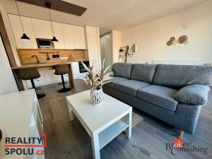 Pronájem bytu 1+kk, Plzeň - Východní Předměstí, Kartónová, 43 m2