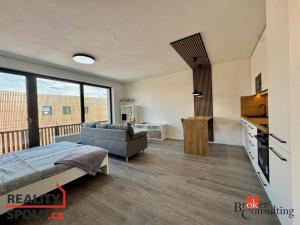 Pronájem bytu 1+kk, Plzeň - Východní Předměstí, Kartónová, 43 m2