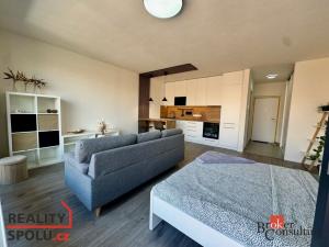 Pronájem bytu 1+kk, Plzeň - Východní Předměstí, Kartónová, 43 m2