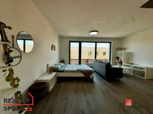 Pronájem bytu 1+kk, Plzeň - Východní Předměstí, Kartónová, 43 m2