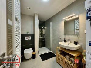 Pronájem bytu 1+kk, Plzeň - Východní Předměstí, Kartónová, 43 m2