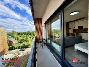 Pronájem bytu 1+kk, Plzeň - Východní Předměstí, Kartónová, 43 m2
