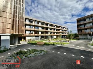 Pronájem bytu 1+kk, Plzeň - Východní Předměstí, Kartónová, 43 m2