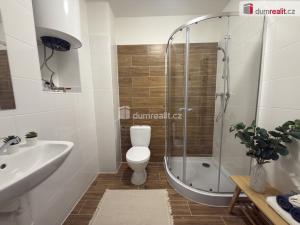 Pronájem bytu 2+kk, Ústí nad Labem - Střekov, Purkyňova, 39 m2