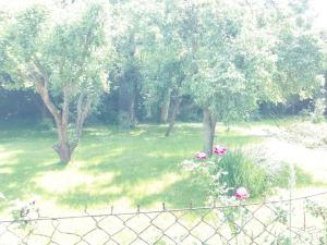 Prodej pozemku pro bydlení, Ostrava - Kunčice, 447 m2