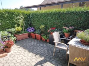 Pronájem bytu 1+kk, Hradec Králové - Plačice, Vlčkovická, 50 m2