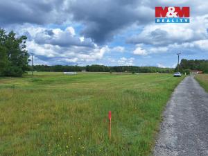 Prodej pozemku pro bydlení, Rapšach, 3900 m2