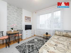 Prodej bytu 1+1, Vamberk, Struha, 32 m2