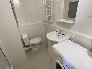 Pronájem bytu 2+kk, České Budějovice - České Budějovice 3, Puklicova, 36 m2