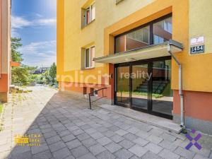 Prodej bytu 3+1, Brno, Vlasty Pittnerové, 70 m2