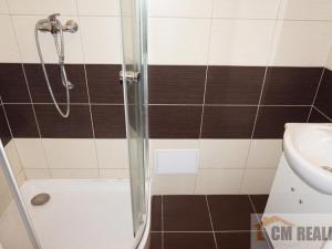 Pronájem bytu 2+kk, Prostějov, Tetín, 42 m2