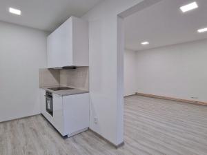 Pronájem bytu 3+1, Křešice, Kolonie, 65 m2