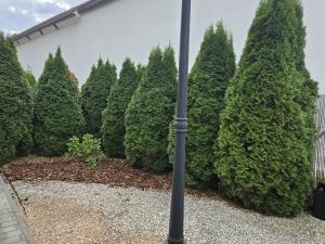 Pronájem bytu 2+kk, Rudná, Havlíčkovo nám., 57 m2