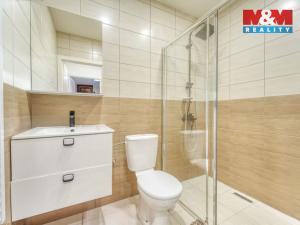 Prodej rodinného domu, Chotěšov, Starý mlýn, 353 m2