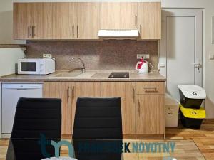 Pronájem bytu 1+kk, Olbramovice, 35 m2