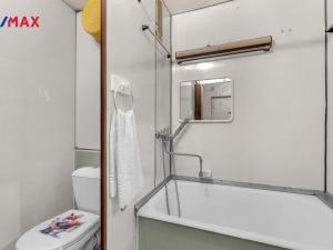 Prodej bytu 1+kk, Hradec Králové - Pražské Předměstí, Jungmannova, 29 m2