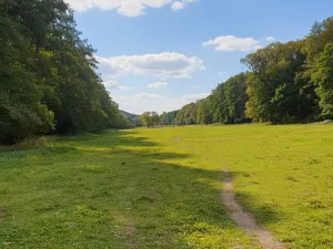 Prodej louky, Račice-Pístovice, 1784 m2