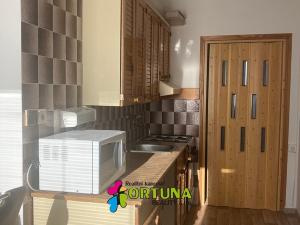 Pronájem bytu 2+1, České Budějovice, 58 m2