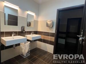Pronájem kanceláře, Praha - Stodůlky, Prusíkova, 28 m2