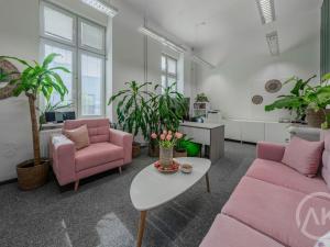 Pronájem kanceláře, Ostrava - Vítkovice, Ruská, 19 m2