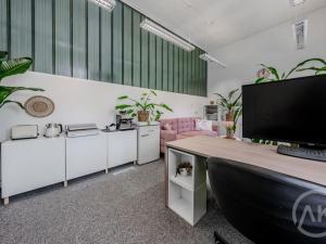 Pronájem kanceláře, Ostrava - Vítkovice, Ruská, 19 m2