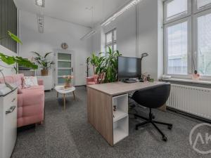 Pronájem kanceláře, Ostrava - Vítkovice, Ruská, 19 m2