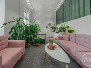 Pronájem kanceláře, Ostrava - Vítkovice, Ruská, 19 m2