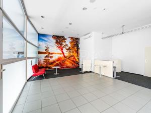 Pronájem obchodního prostoru, Roztoky, Lidická, 135 m2