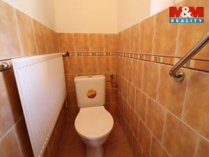 Prodej rodinného domu, Velemyšleves - Truzenice, 400 m2