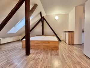Pronájem bytu 1+kk, Brno, Záhumenice, 58 m2