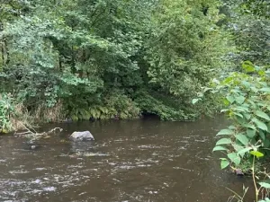 Prodej zahrady, Karlovy Vary, 277 m2