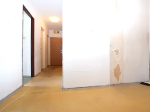 Prodej bytu 2+1, Příbram, Čechovská, 77 m2