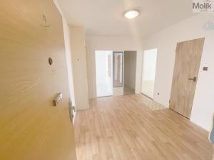 Prodej bytu 3+1, Litvínov - Janov, Hamerská, 69 m2