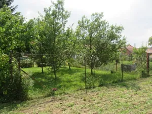 Dražba zahrady, Němčice nad Hanou, 235 m2